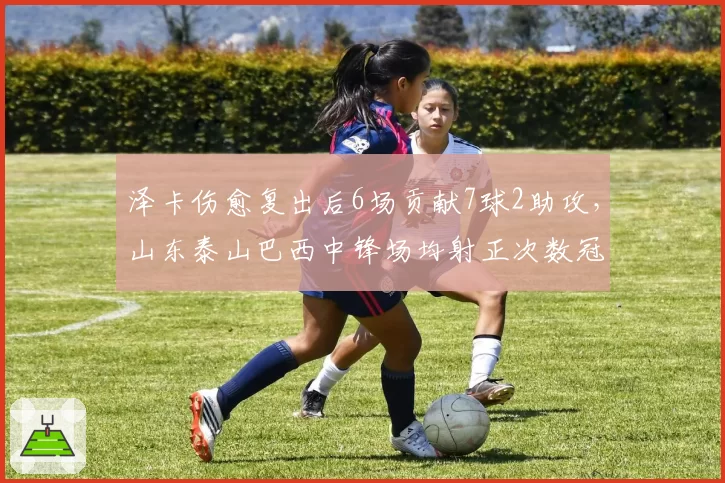 泽卡伤愈复出后6场贡献7球2助攻,山东泰山巴西中锋场均射正次数冠绝中超
